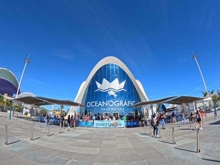 Ciudad de las Artes y las Ciencias image