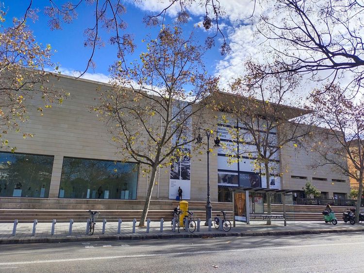 Art Modern Institute Museum of Valencia image