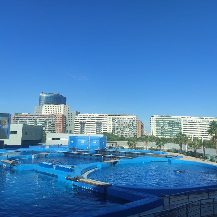 Ciudad de las Artes y las Ciencias image
